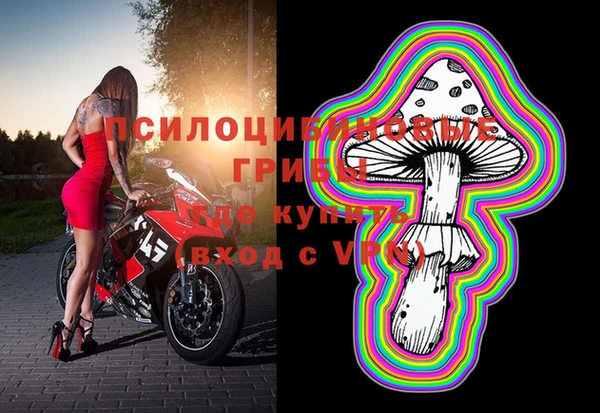 мет Арсеньев