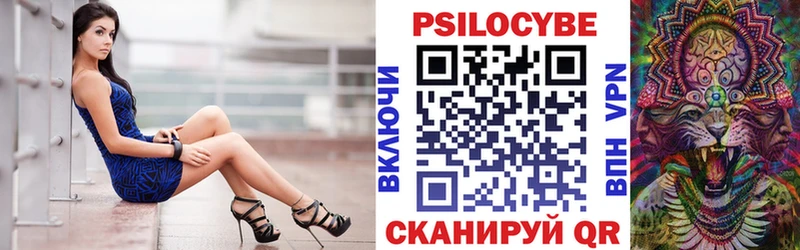 Галлюциногенные грибы Magic Shrooms  blacksprut зеркало  Волгоград 
