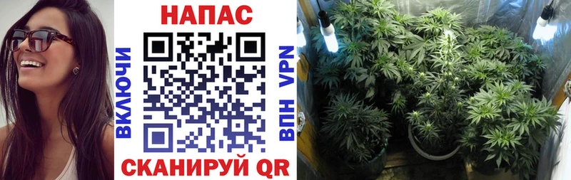 МАРИХУАНА Amnesia  Волгоград 